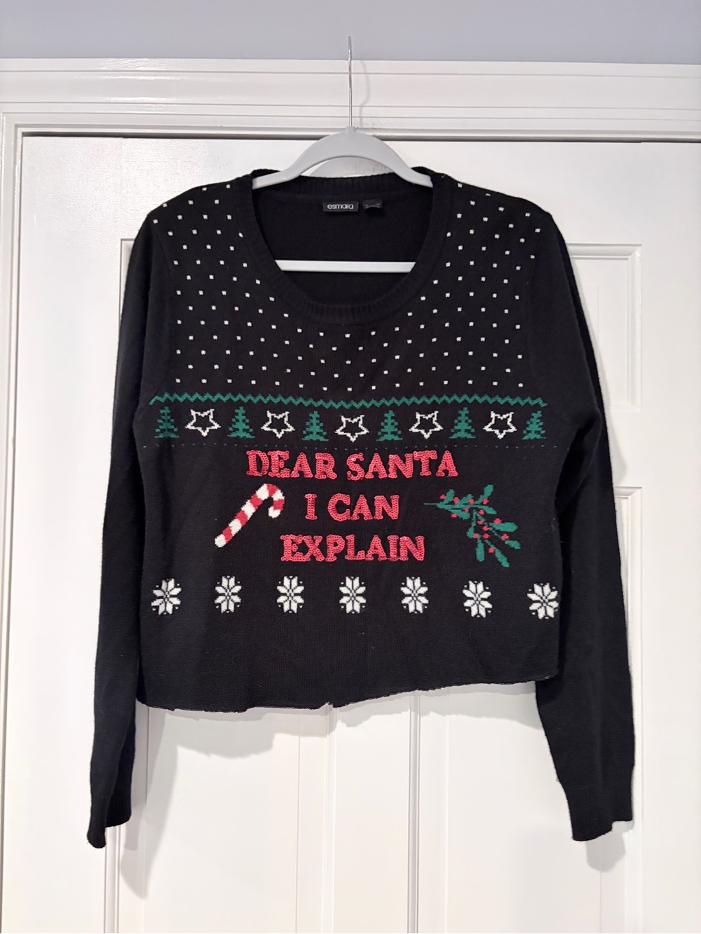 Esmara Dear Santa I Can Explain Cropped Ugly Christmas Sweater Large US 12/14